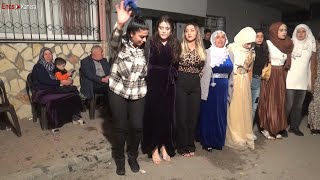 En Zevkli Halay 2023 - Hareketli Oyun Havaları - Şevko Resimi