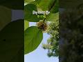 Day In My Life 🌸🌿✨️... #dayinmylife #minivlog #viral #fyp #everydaylife #trending #shorts #dailyvlog