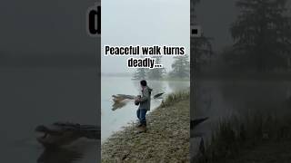 Shocking Alligator Attack Caught on Camera! #animals #alligator  #wildlife #shorts #viralvideo