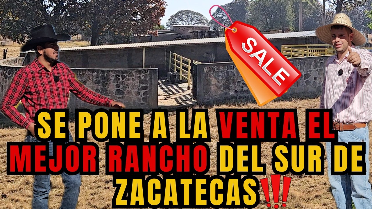 SE PONE a la VENTA el MEJOR RANCHO del SUR de ZACATECAS | BUENO, BONITO y BARATO | RancheandoAndo