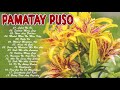 Pamatay Puso OPM Tagalog Love Songs | Renz Verano, J.Brother, April Boy, Datu Bogie All Songs