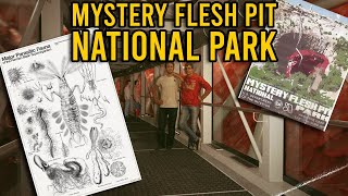 Mystery Flesh Pit National Park Summary