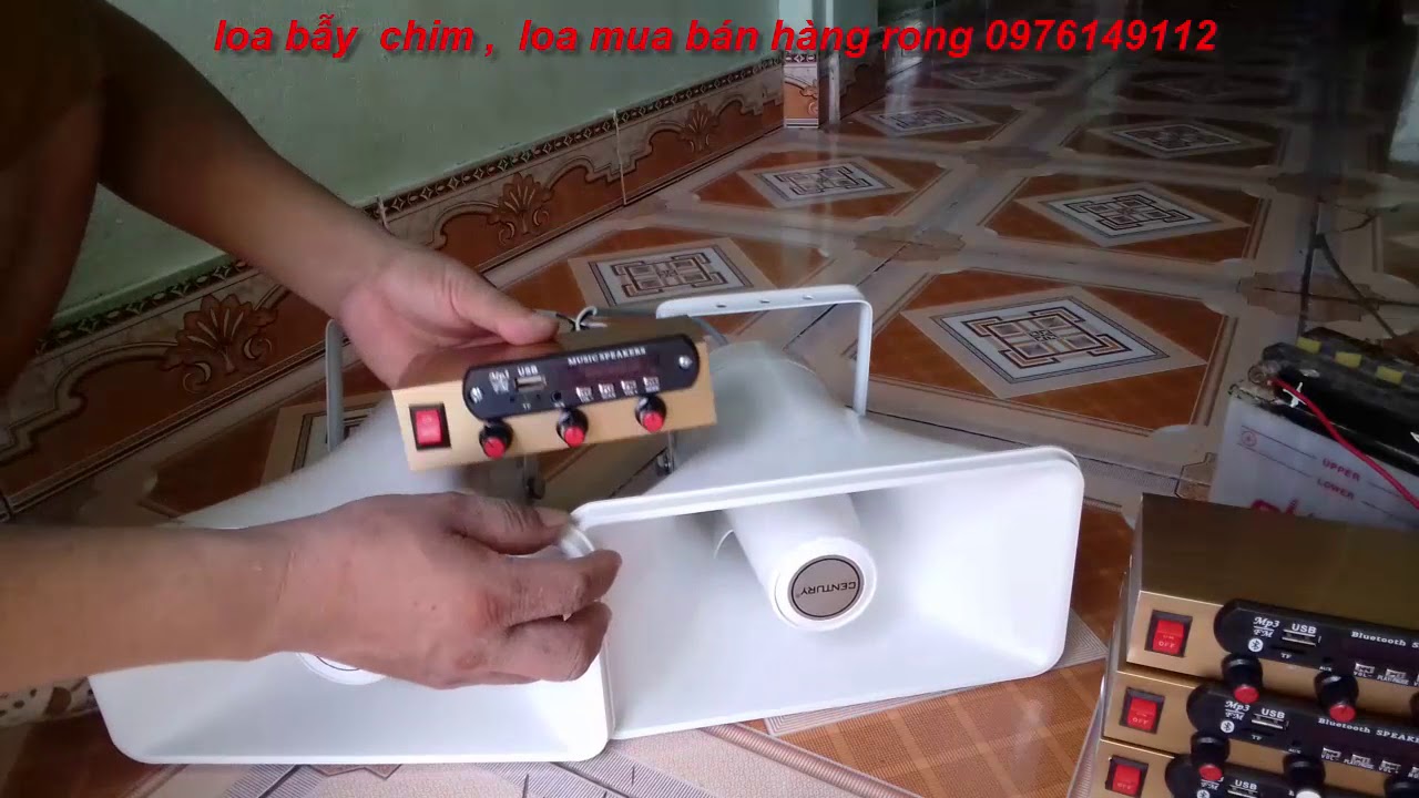 mèo bán New loa bán hàng rong , chó mèo bán đi