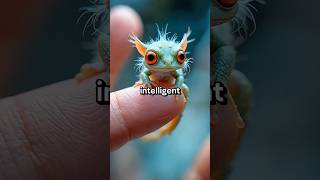 Discovered on a forgotten island! 😮🦎 #ai #mystery #fantasy