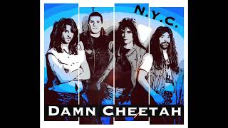 Forever - Damn Cheetah (Melodic Hard Rock /ft. Les Brown of N.R.G.) Have you heard?