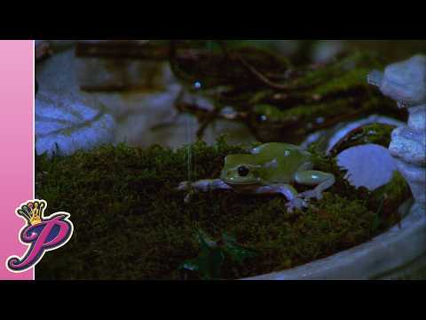 De prinselijke kikker in de fontein zorgt voor kusjeschaos 🐸 - Prinsessia