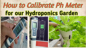 How to Calibrate Ph Meter for our Hydroponics Garden #Hydroponics #lettuce farming
