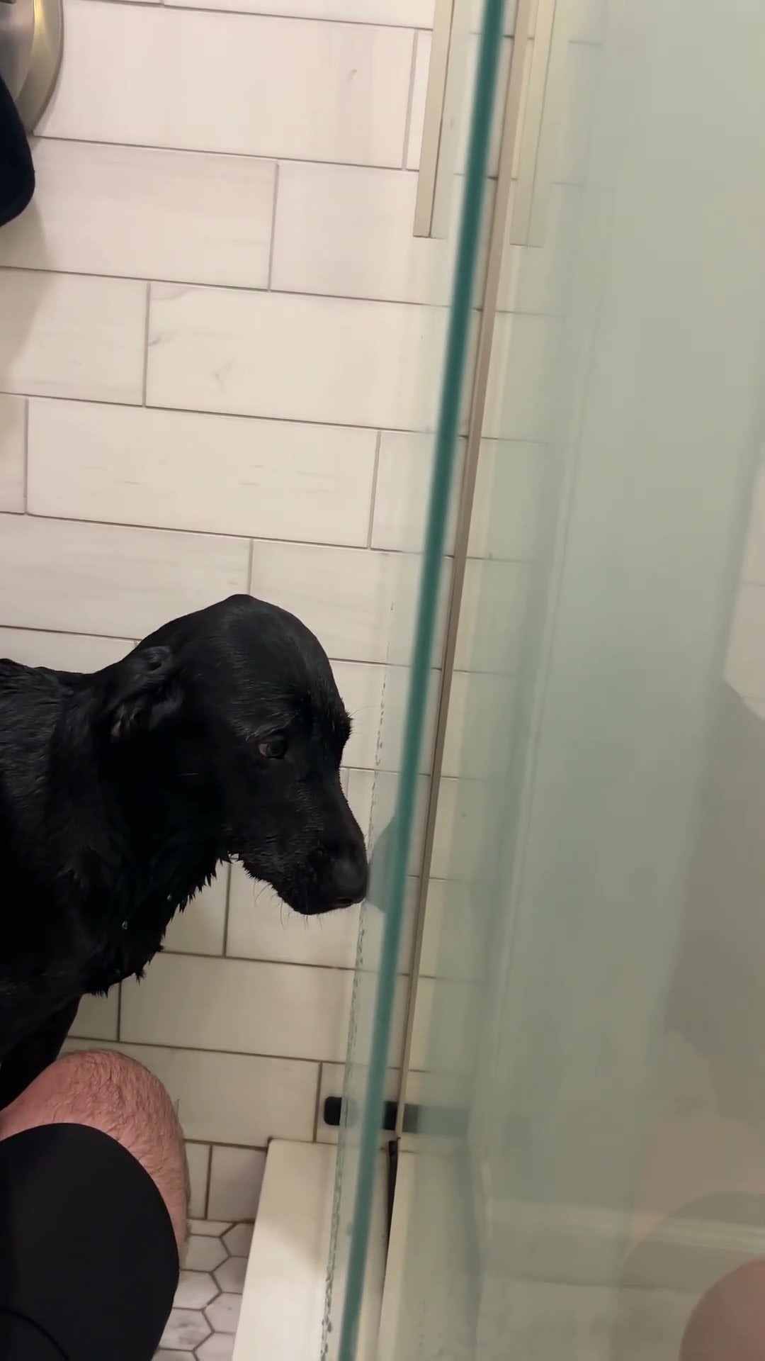 Pup Gives Side Eye During Bath Time || ViralHog