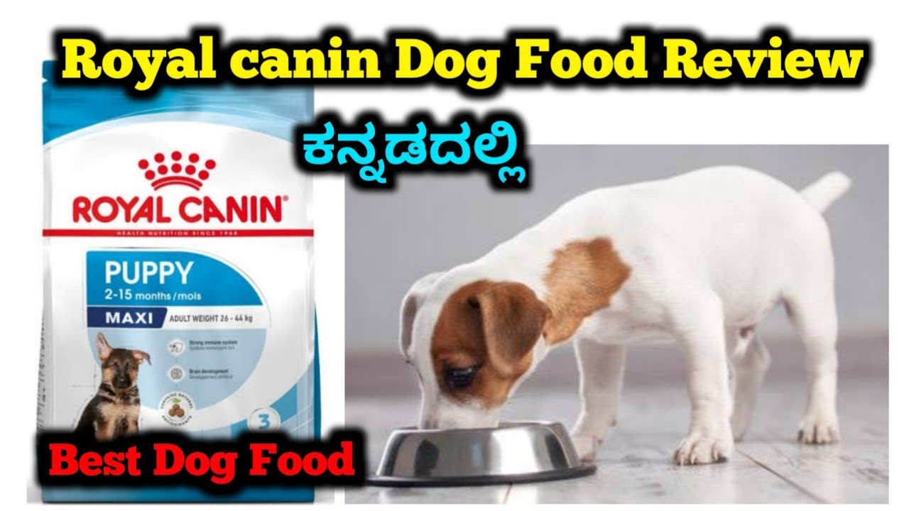 Royal canin Fog food review in kannada | Royal canin | Dog Food 
