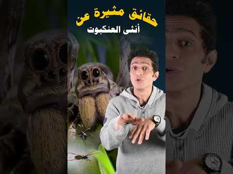 فيديو: 26 حقائق ساذجة عن الارملة السوداء