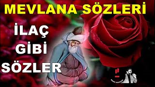 Mevlana Sözleri Gözyaşları Merhamete Delildir Yürek Yanmasa Göz Ağlamaz İlaç Gibi