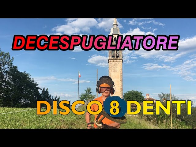 DISCO 3 DENTI Ø255 3 MM PER DECESPUGLIATORE - ECHO7350037852923