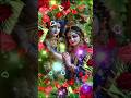 Radha Radha Jai Shree Krishna status 🌿🦚🍁 #ytshorts