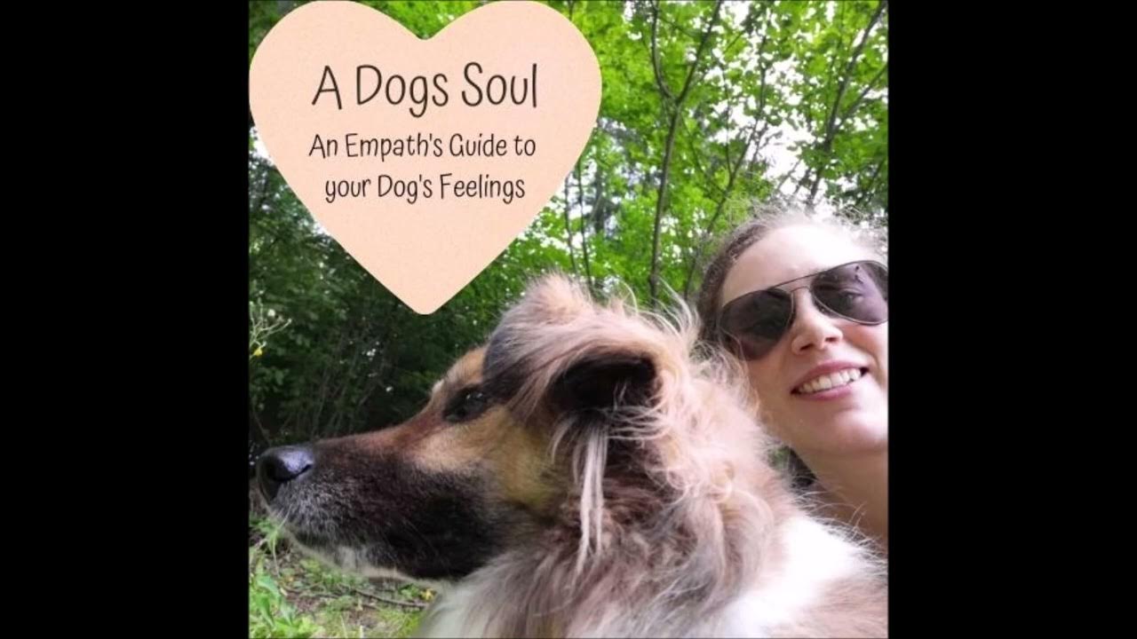 Podcast s3 e4 Gradually wean off Treats in Dog Training YouTube