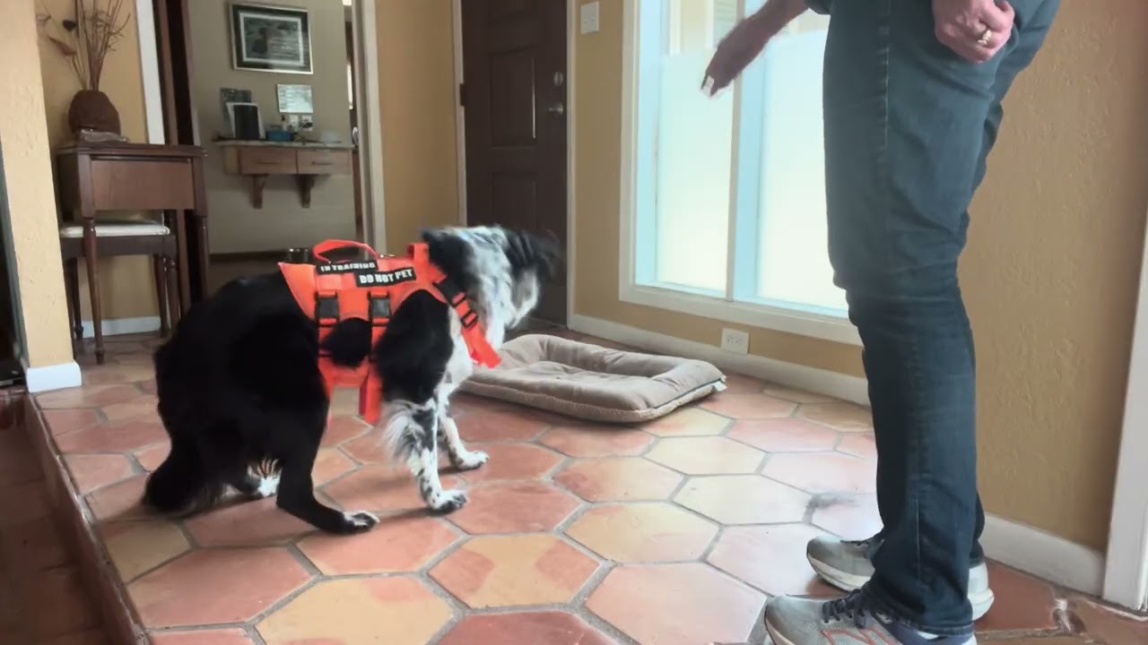 Chin Rest in Hand and on box mat with down and duration