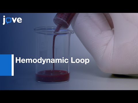Hemodynamic Loop for Hemocytocompatibility and Host Cell Activation | Protocol Preview
