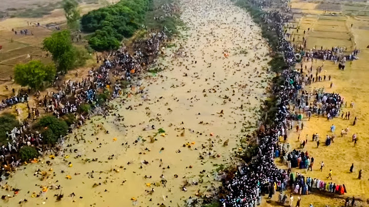Momentos na Natureza Que Acontecem uma Vez em um Bilhão