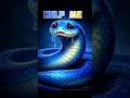 Snake clash gameplay tha legend of boss fight win match 🐍#geming #shorts #snake #fanyvideo
