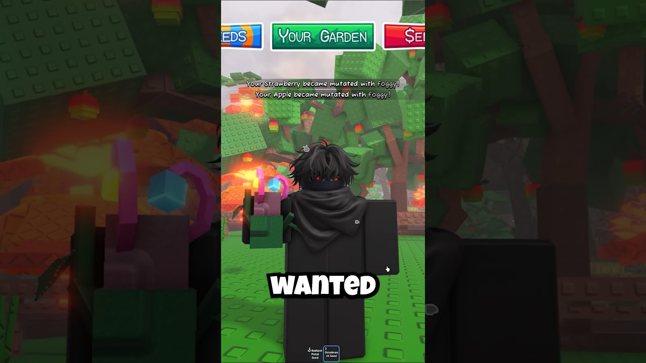 Я только что получил лучшие семена (восьминогов) от Garden Horizons.