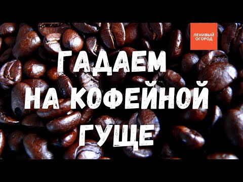 Можно ли растениям пить кофе | Кофейный жмых как удобрение и другие способы применения кофейной гущи