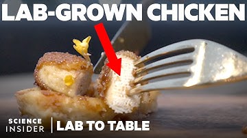 Can Lab-Grown Meat Become The Food Of The Future?