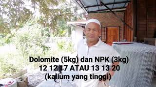 Sifu Durian BAB 21 | Durian BERBUAH LEBAT 5 KALI dalam Masa 3 Tahun - Baja Dolomite dan NPK
