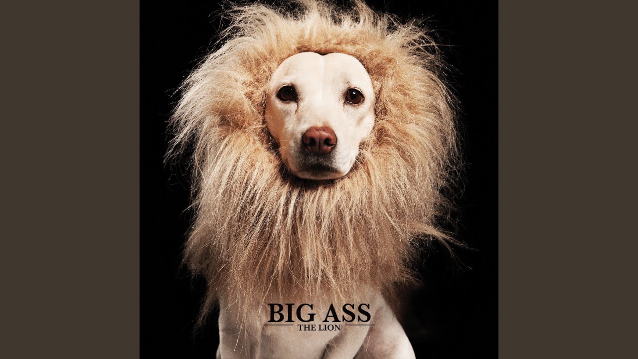 ปกเพลง ไม้ขีดไฟ — BIGASS
