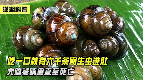 每吃一口福寿螺，就等于吃掉6000条寄生虫，大脑被啃食直至死亡 - 天天要闻