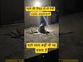 ऐसे भीं पढ़ते हैं upsc aspirants #viral #shorts #shortsvideo #ias #lbsnaa #youtubeshorts #trending