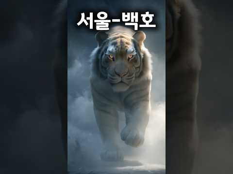 "한국 지역별 동물이 살아 움직인다! 🐯✨ [AI 4K]"