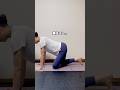姿勢からくる辛さに！#ストレッチ #腰痛 #stretching #shorts