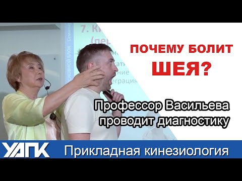 Кинезиологическая диагностика от проф. Васильевой.