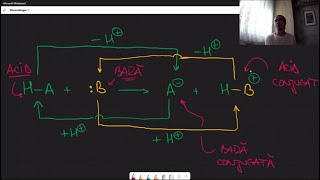 [UMFCD2025][GrileRezolvate] Stomatologie 1: reacții cu schimb de protoni