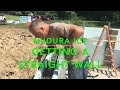 How to pour and then straighten A Nudura or other ICF wall.