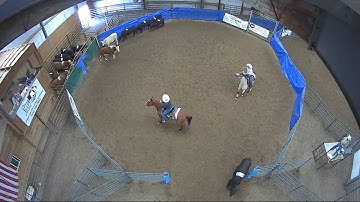 Big Sky Ranch Sorting Saddle Series Finals - #3 - Round #1 - Ride #15