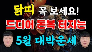 닭띠 양력 5월에 큰 돈복 터진다  닭띠 꼭 확인하세요 [띠별 운세]