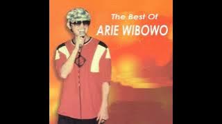 Ari Wibowo - Astaga