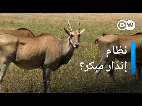 فيديو: هل تشعر الحيوانات بالخطر؟