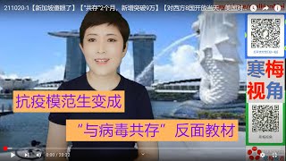 211020-1【”张文宏们”傻眼了】【新加坡“病毒共存”2个月,疫情全球最严重,美国叫停航班】【寒梅视角】