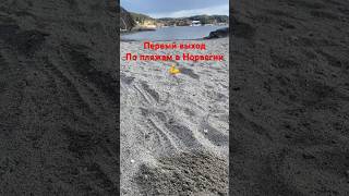 Коп в Норвегии на пляже. #коп #metaldetecting