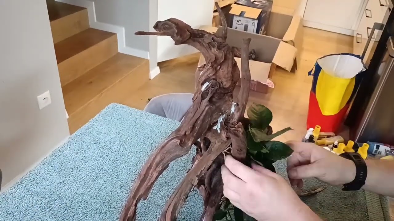 Rekonštrukcia akvária 