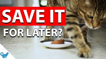 Why does my cat scratch the floor around her food bowl?