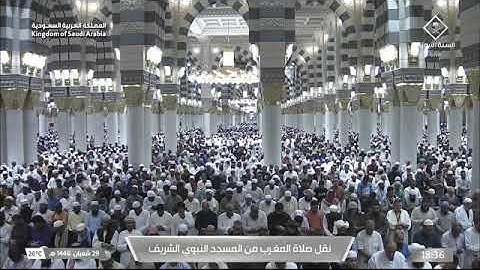 صلاة المغرب للشيخ محمد برهجي 29 شعبان 1446هـ من سورة البقرة