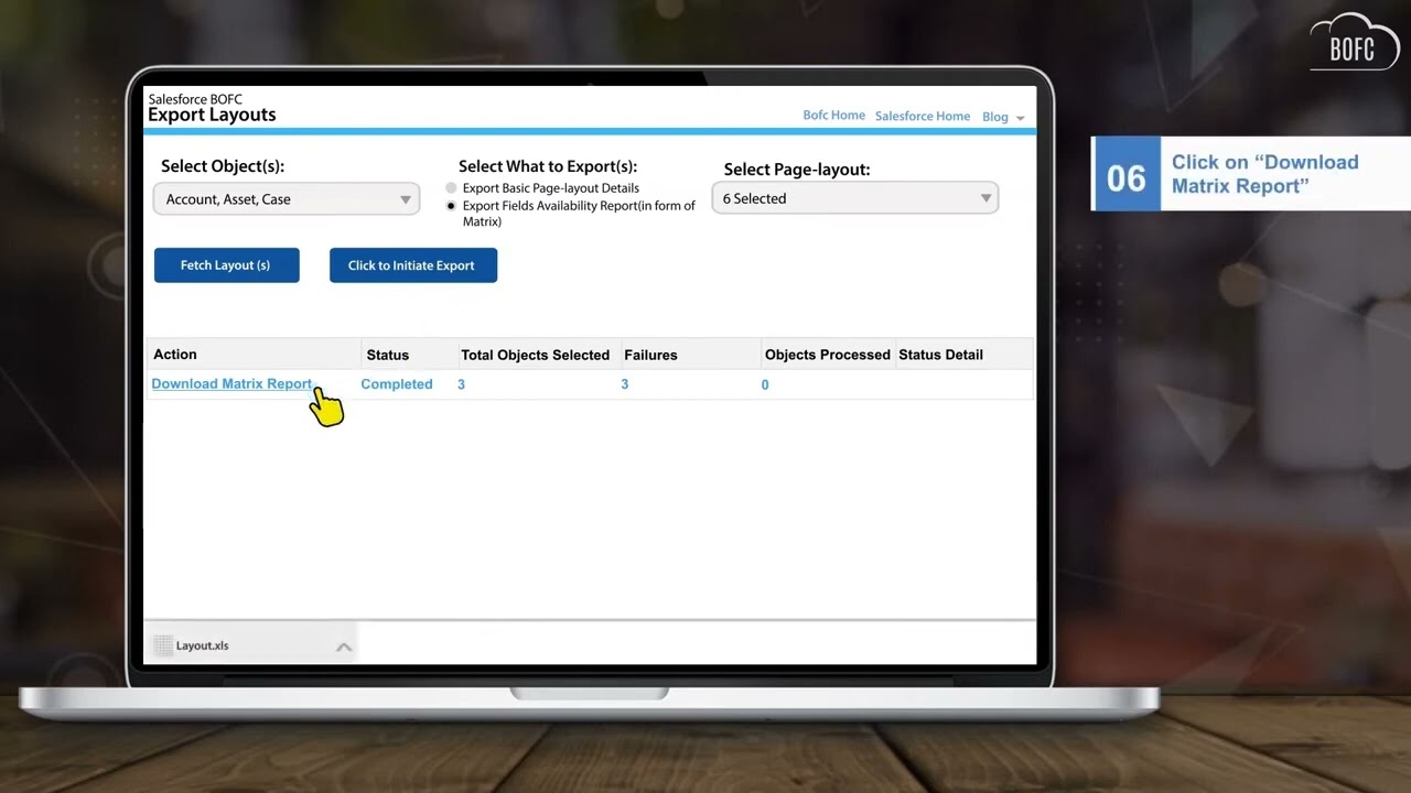 Find Field Visibility On Multiple Page Layouts For Multiple Salesforce Objects