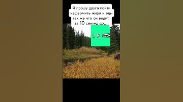 Ситуация в RUST #meme #рофл #rust