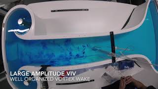 Vortex Induced Vibrations demo