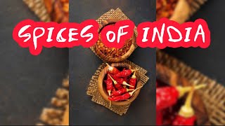 A Journey through the Spices of India"