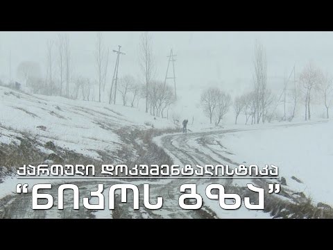 ქართული დოკუმენტალისტიკა - \"ნიკოს გზა\"