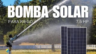 Como calcular una bomba solar para riego por cañon #panelessolares #bombeosolar #riego