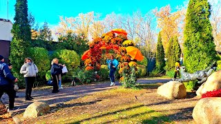 видео: Экскурсия по Экопарку Фельдмана. Интересные истории. 28.10.2025  картинка: Экскурсия по Экопарку Фельдмана. Интересные истории. 28.10.2025